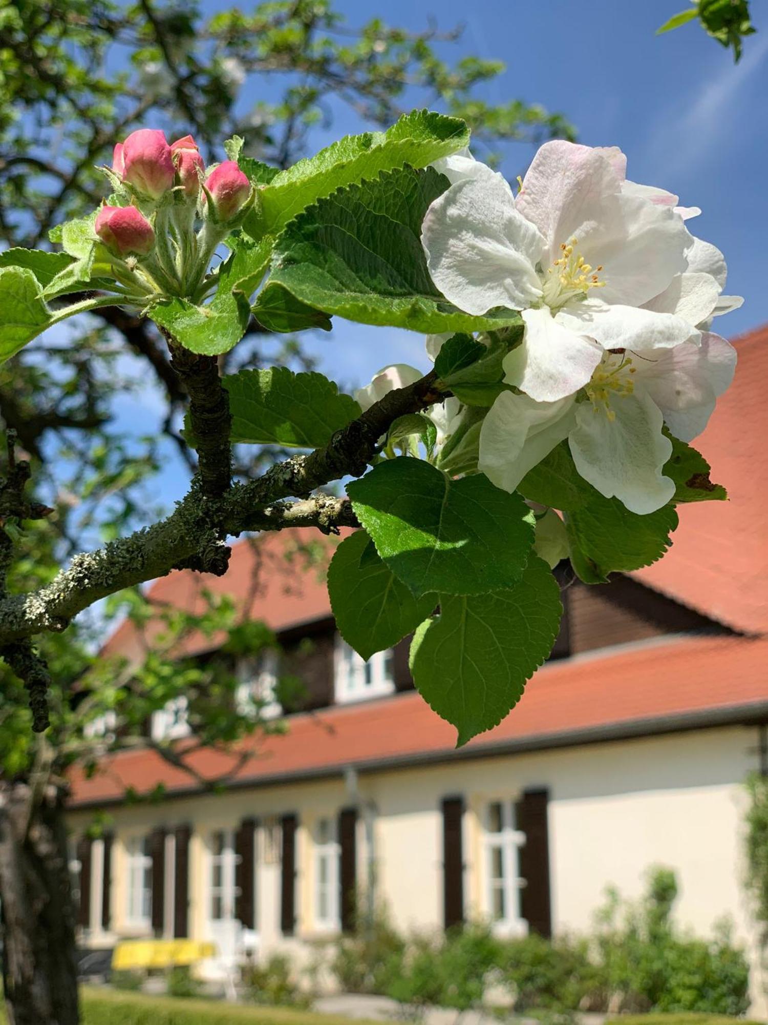 Landhaus Saaleck Naumburg  Exterior foto